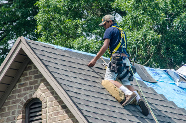 Gutter Installation and Roofing in Cohoe, AK